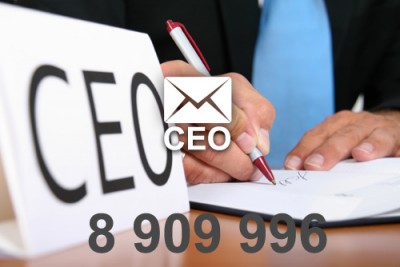 2021 fresh updated USA CEO 8 909 996 email database